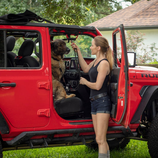 Top-Outdoor-Gear-for-Pet-Owners-Elevate-Your-Adventures-with-GPCA GPCA