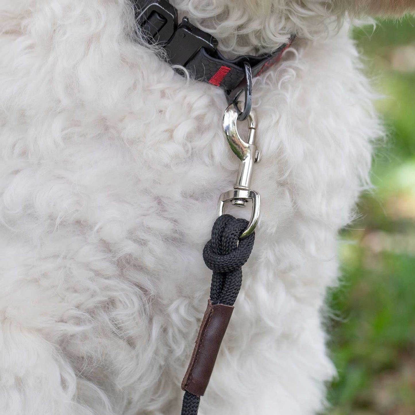 GPCA Dog Leash Lite Black for your dog, a rope is thicker than any straps