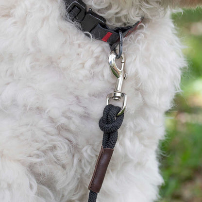 GPCA Dog Leash Lite Black for your dog, a rope is thicker than any straps