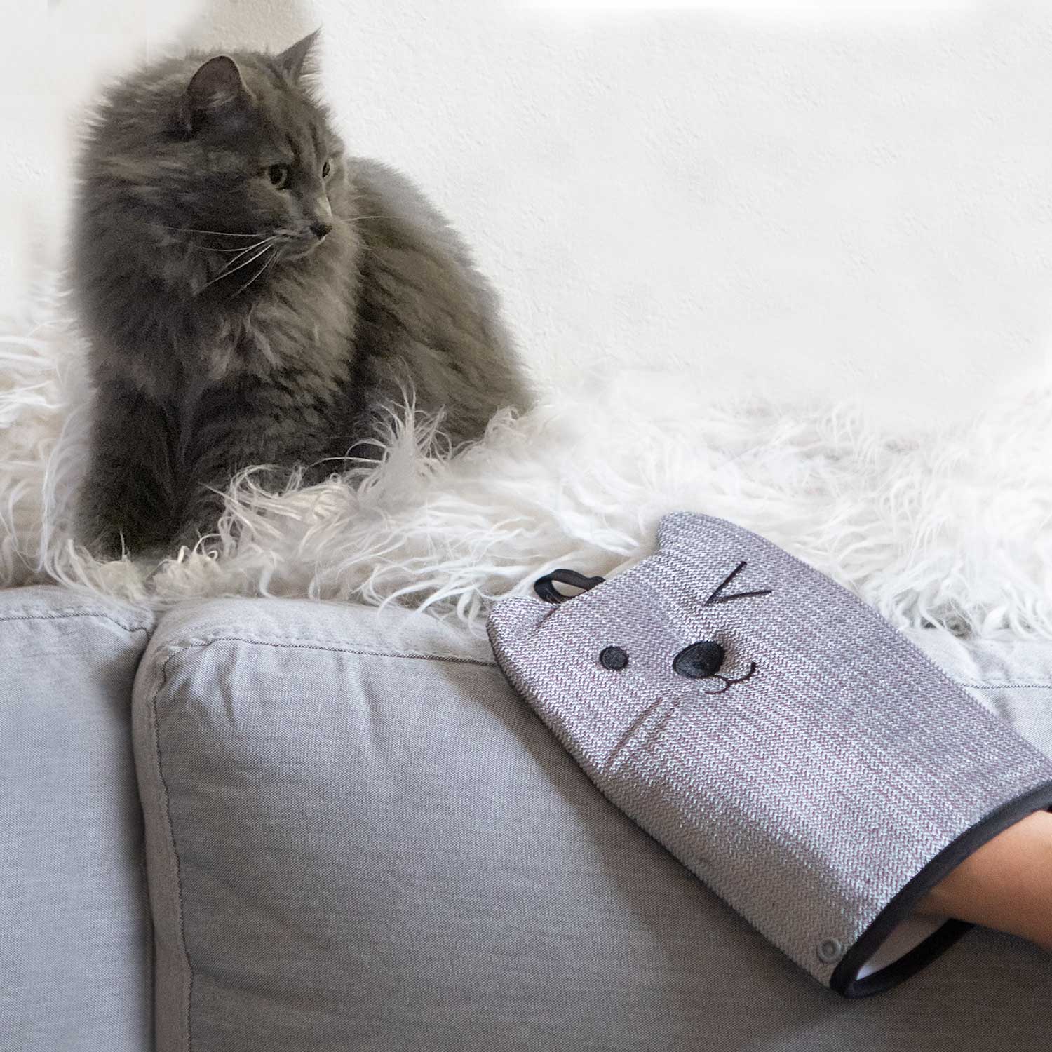 Mitten Pet Hair Remover